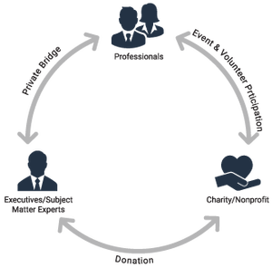 How iConnectX Nonprofits Charity Professionals Platform Works